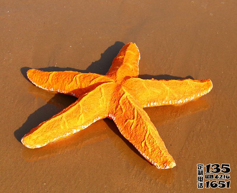 戶外沙灘玻璃鋼大型仿真海星雕塑 戶外沙灘玻璃鋼大型仿真海星雕塑